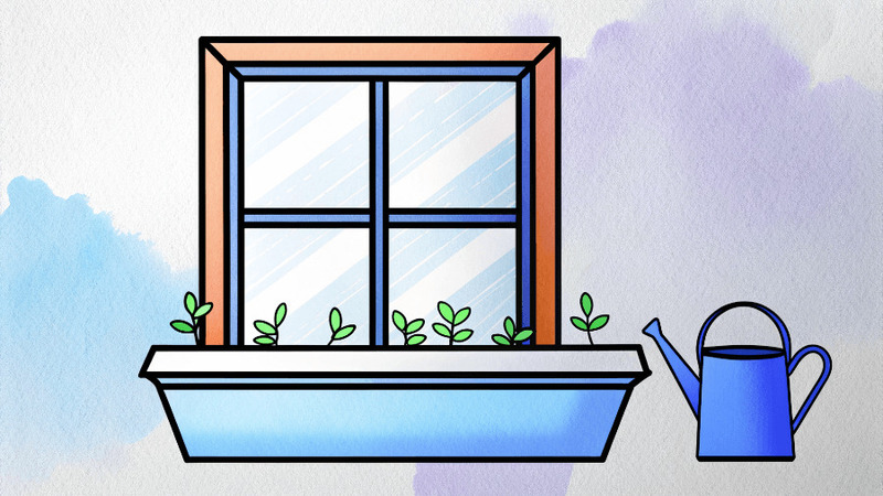 5 растений, которые можно сажать в феврале